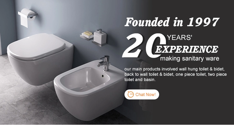 Floor Mounted Tankless Toilet New Design Toilet with CE Certification